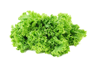 Fototapeta premium fresh green salad