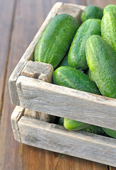 Cucumbers in a box