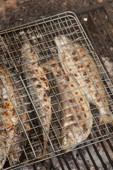 Trout on grill 9