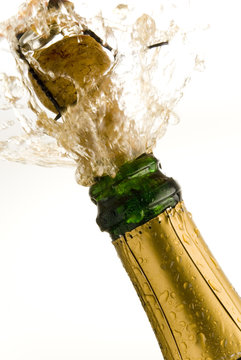 champagne splash