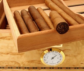 Cigars in open humidor box