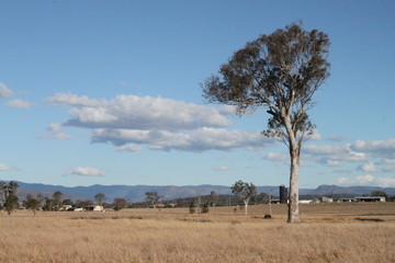 Campagne australienne
