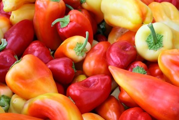 multicolor husks of paprica