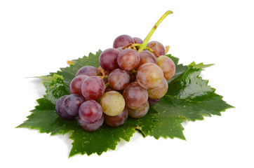 Grape