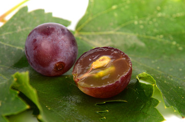 Grape