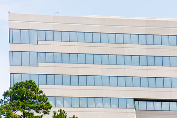 White Concrete and Blue Glass Building Past Pine Tree