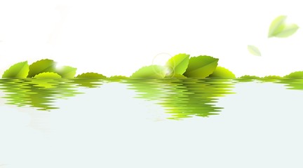 green leaves in water - illustration - obrazy, fototapety, plakaty