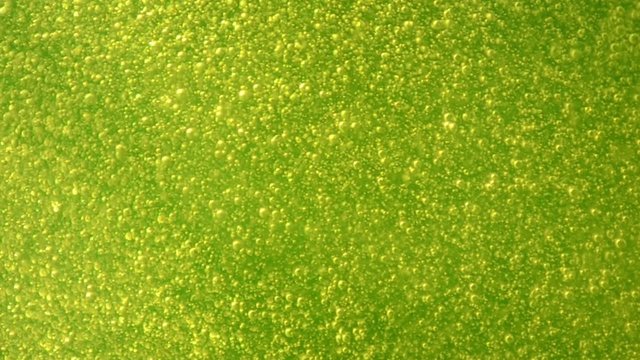 Green floating bubbles