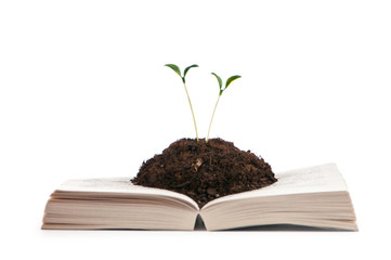 Knowledge concept with books and seedlings