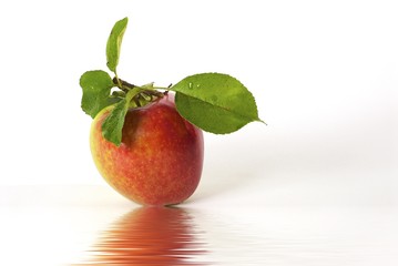 pomme