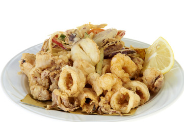 Fish plate