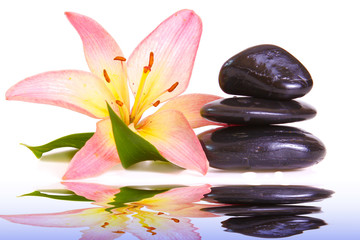 Wasser,Steine © Swetlana Wall