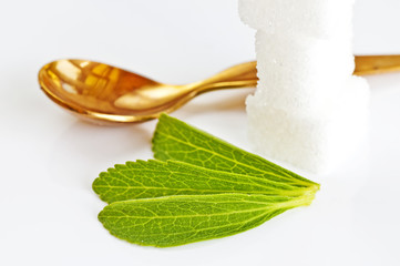 Stevia rebaudiana, Zuckerersatz