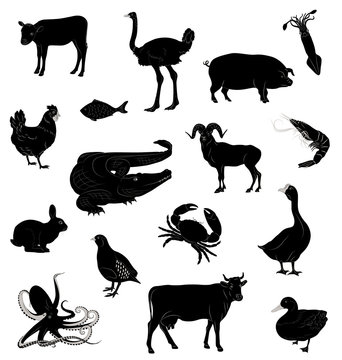 Set with silhouettes of various animals