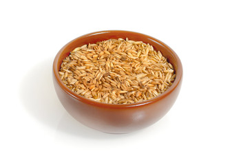 Oat grains in bowl isolated on a white