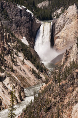 Lower Yellowstone River Falls in Wyoming USA