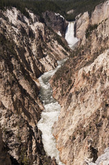 Fototapeta na wymiar Lower Yellowstone River Falls in Wyoming USA