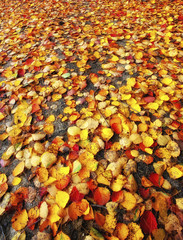 Folio on the road detail colorful