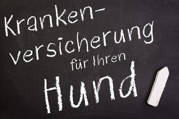 Fototapeta premium Hundeversicherung