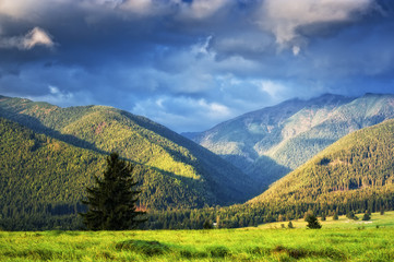 autumn evening in country