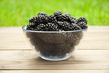 Fototapeta na wymiar blackberries in bowl