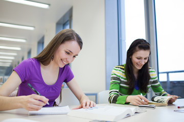 in the library - two female students