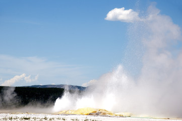 Geyser in Yellowstone National Park Wyoming USA