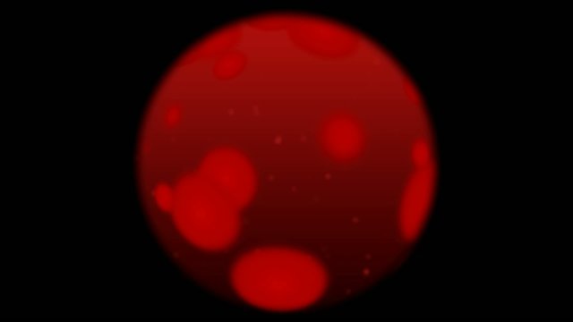 Globuli rossi al microscopio