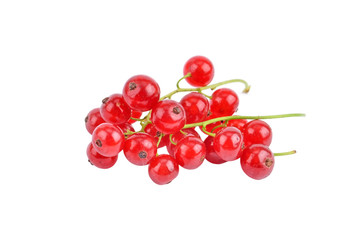Branch of berry red currant, isolated on a white background