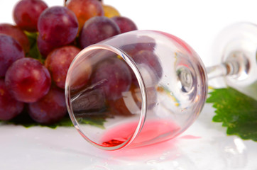 Wine
