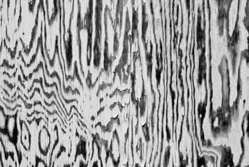 Zebra pattern on an old fishing shed wall