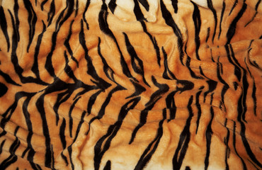 Tiger skin
