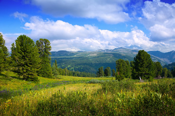 Fototapeta na wymiar Krajobraz z lasu górach