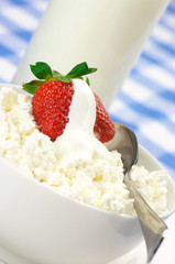 Cottage cheese with garnish