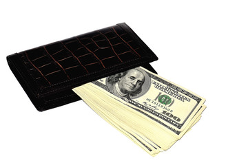 Wallet with dollars on a white background
