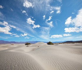 Desert
