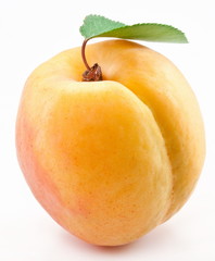 Apricot with leaf on a white background.