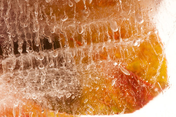 Frozen flowers. blossoms in the ice cube