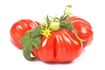 Variety of tomato, green leaf, close-up