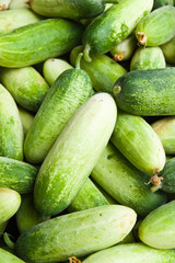Pile of cucumber in fresh market , asian style vegetable , close