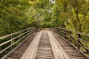 wooden bridge against trees and falling leaves