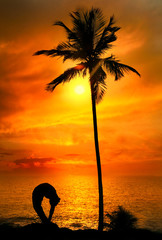 Yoga silhouette tiriang mukhottanasana pose at sunset
