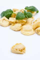 Tortellini, pasta italiana, sobre un fondo blanco