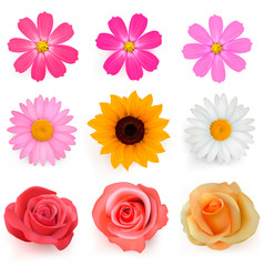 Big set of beautiful colorful flowers. Vector illustration. - obrazy, fototapety, plakaty