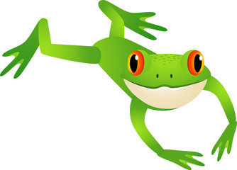 Fototapeta premium Frog jumping