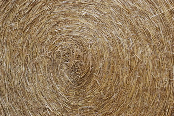 moisson