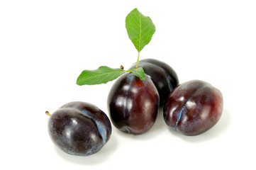 plum