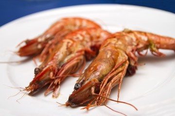 Tiger prawns