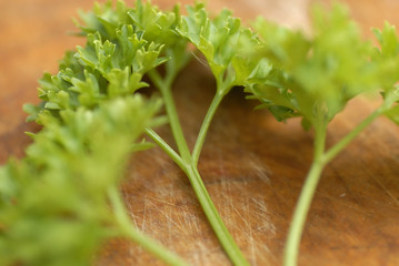Bunch of freshly picked parsley (Petroselinum crispum).