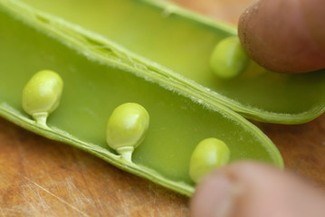 Peas (Pisum sativum) in a pod arranged on a wooden chopping boar